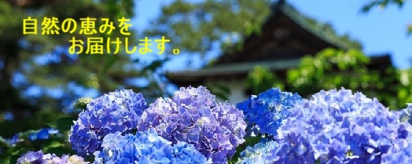 Řb݂͂܂B