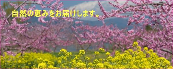 自然の恵みをお届けします。