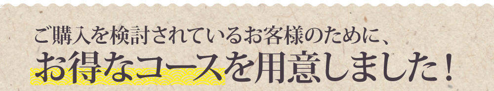 ご購入を検討されているお客様のために、お得なコースを用意しました！