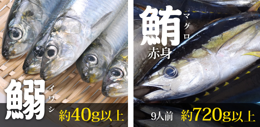 鰯：約40g以上、鮪（赤身）：9人前約720g以上