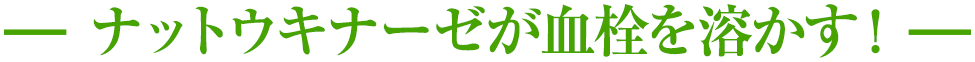 ナットウキナーゼが血栓を溶かす！