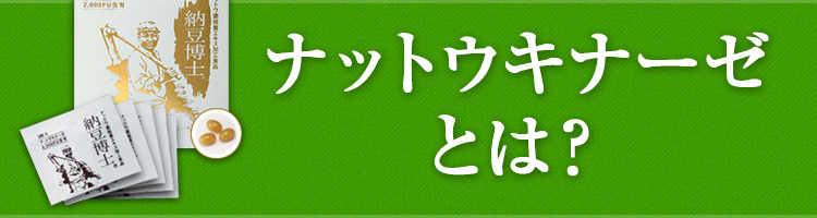 ナットウキナーゼとは？