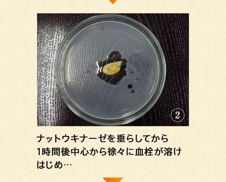 ナットウキナーゼを垂らしてから1時間後中心から徐々に血栓が溶けはじめ…