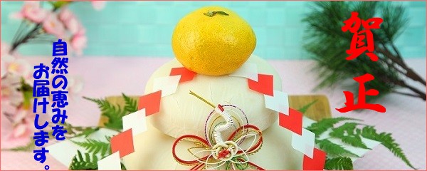 ���R�̌b�݂����͂����܂��B