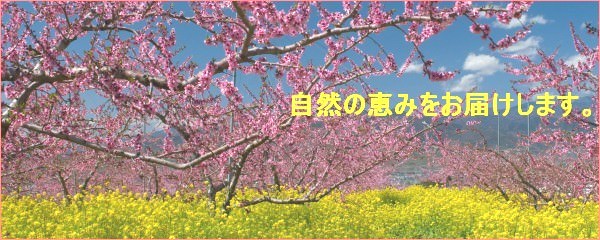 ���R�̌b�݂����͂����܂��B